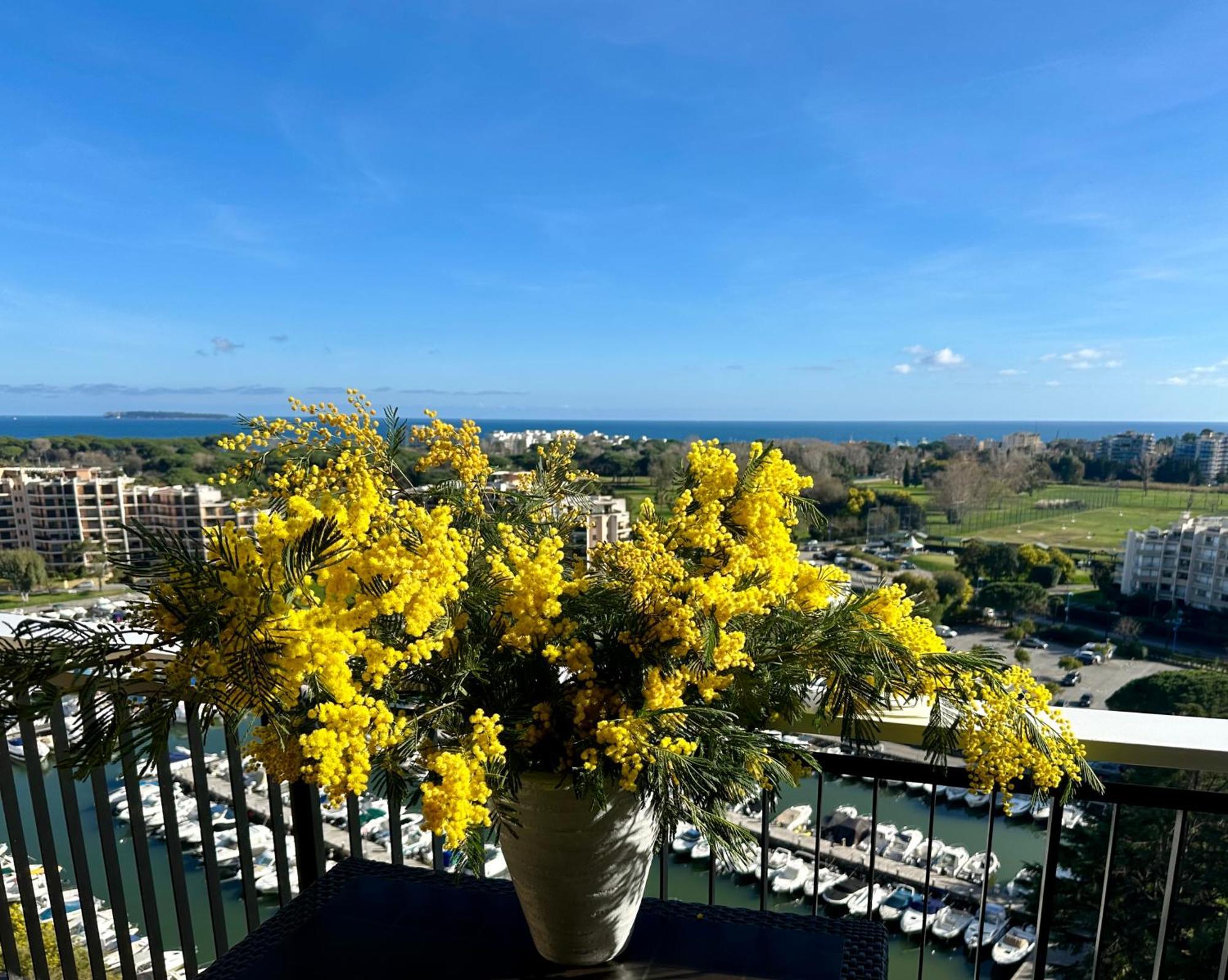 Cannes Marina Appart Hotel Mandelieu Bagian luar foto